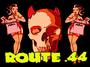 Route .44 profile picture