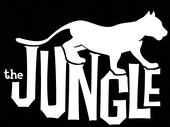 Jungle Mastering profile picture