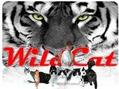 WILDCAT profile picture