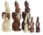 Chocolate Bunny profile picture