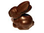 Chocolate Bunny profile picture