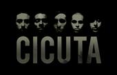 CICUTA profile picture