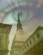 Torino City profile picture