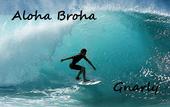 Aloha Broha profile picture