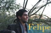 Felipe profile picture