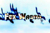 Foxwagon profile picture