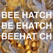 beehatch profile picture