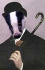 Mr Badger profile picture