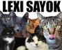 lexi sayOK - FREE DOWNLOAD! profile picture