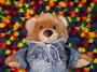 Buddy Bear profile picture