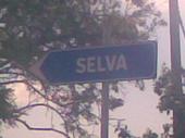 Selva profile picture