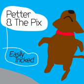 Petter & The Pix profile picture