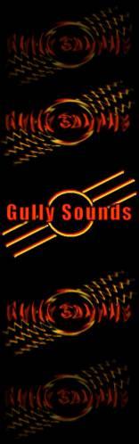 Gully Sounds [BREAKING NEWS] profile picture