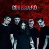 GORESOERD (Estonian Grotesque Metal) NEW STUFF! profile picture