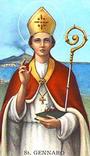 San Gennaro profile picture