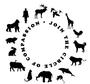 Animal Rights Coalition profile picture