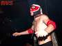 El Generico profile picture