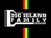 Big Island Family profile picture