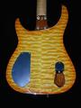 iGuitar by Brian Moore Guitars profile picture