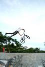 flatlinebmx. profile picture