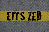 EITS ZED profile picture