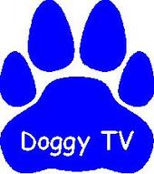 doggy_television