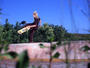 Element Skateboards profile picture