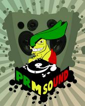 pRm sound profile picture