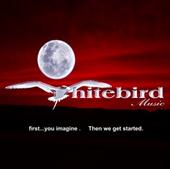 Whitebird Artist & Tour Management profile picture