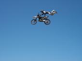 dillehayfmx