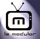 le modulor profile picture