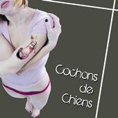 Cochons de chiens profile picture