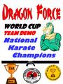 Dragon Force Karate Demo Team profile picture