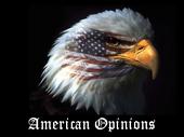 American Opinions profile picture