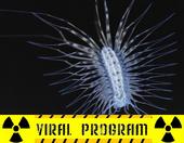 viral program profile picture