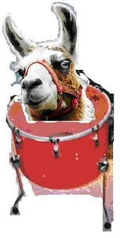 Drumllama profile picture