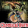 CHEMICAL BURN profile picture