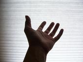 William Lillmars profile picture