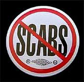 The Scabs profile picture