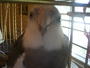 Walter John Pigeon profile picture