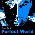 Perfect World CD by James David profile picture