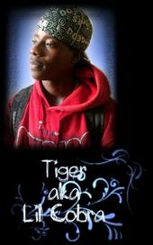 TIGERÂ° TwIN c0Bra Â°! liV3 iN a jUnGl3 Im aN AnIm profile picture