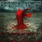 Spiritual Demise profile picture