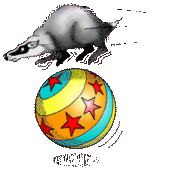 theagilebadger