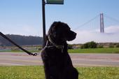 Sadie profile picture