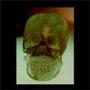 Sons of the Crystal Skulls profile picture