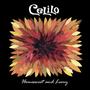 Celilo profile picture