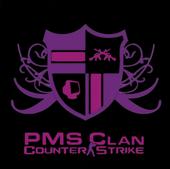 PMS Counter-Strike profile picture