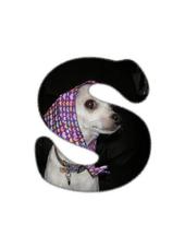 skeeter girl loves burrito~ profile picture