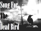 Song For The Dead Bird profile picture